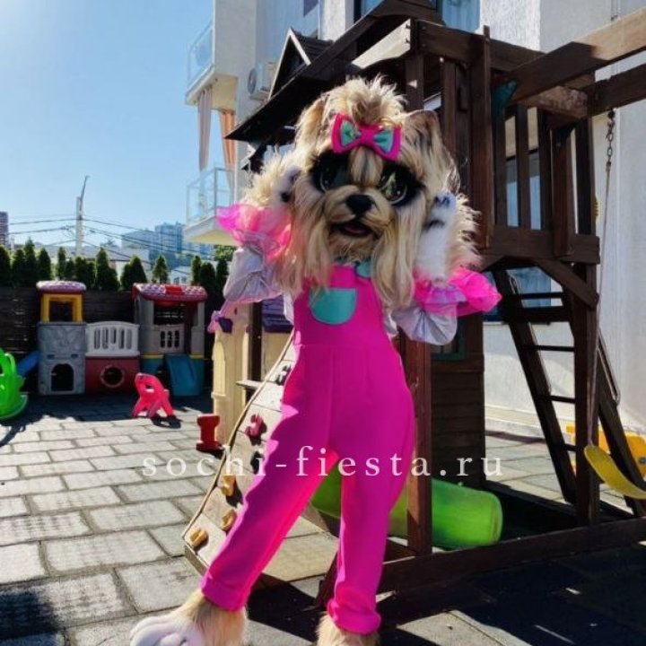Аниматор Гламурная Собака в Северодвинске