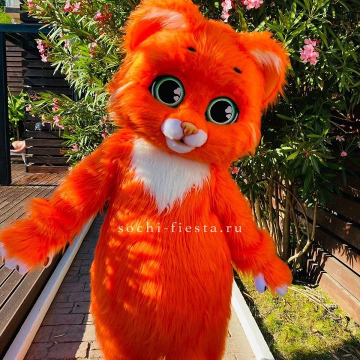 Аниматор Котик в Северодвинске