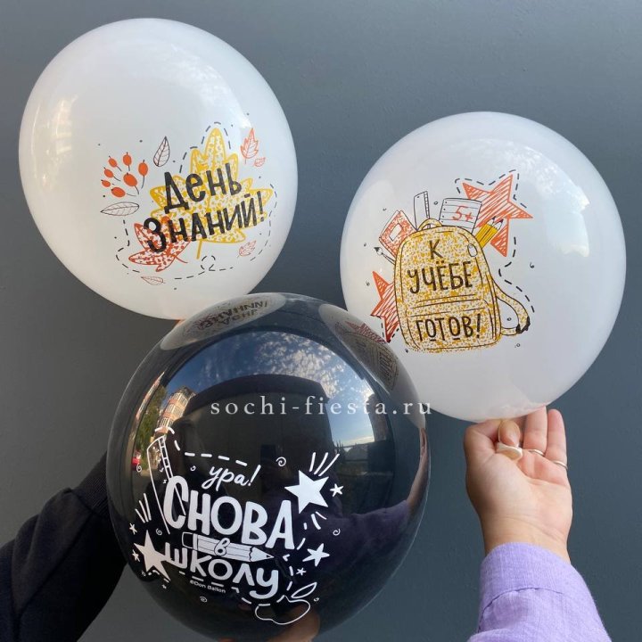 Воздушный шар к 1 сентября в Северодвинске
