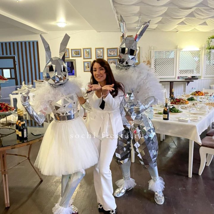 Аниматор Зеркальный заяц в Северодвинске