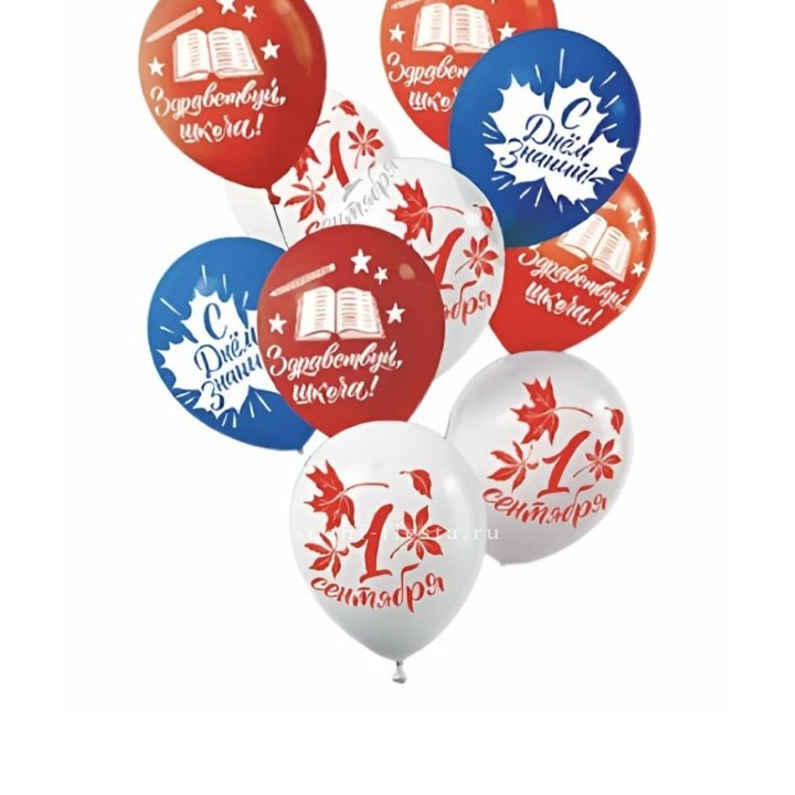 Воздушный шар на день знаний в Северодвинске