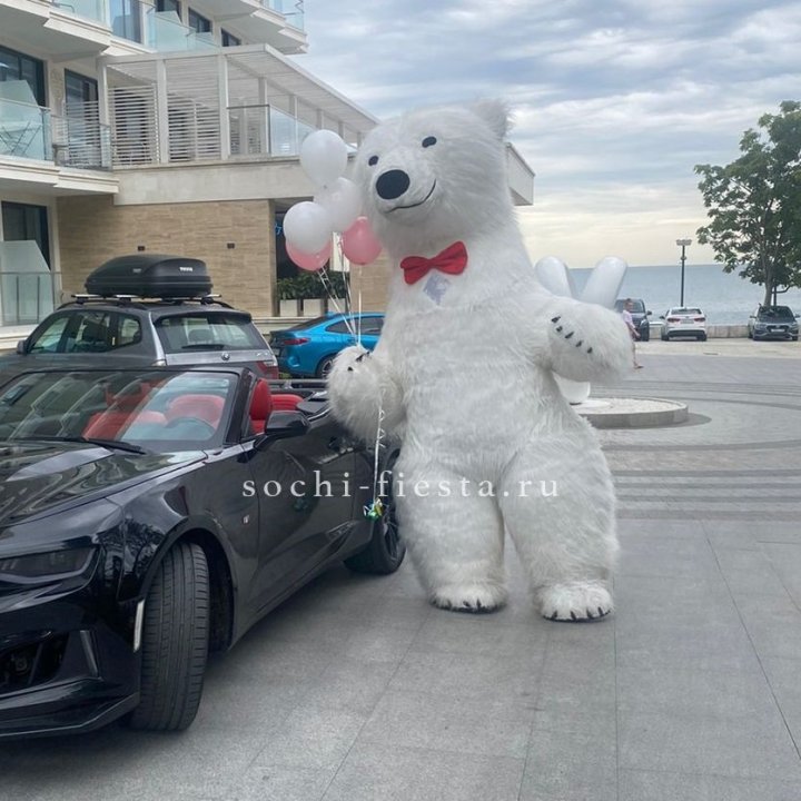 Аниматор Белый Медведь в Северодвинске