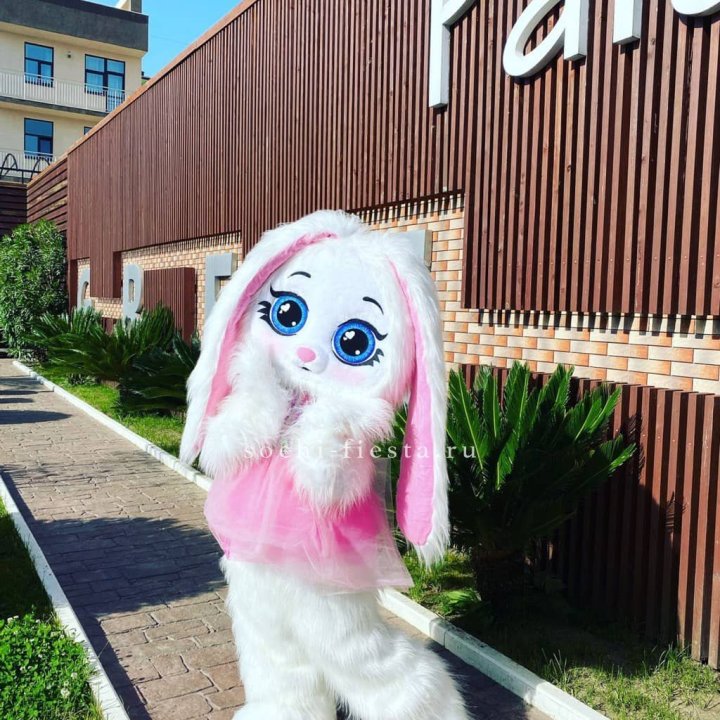 Аниматор Зайка в Северодвинске