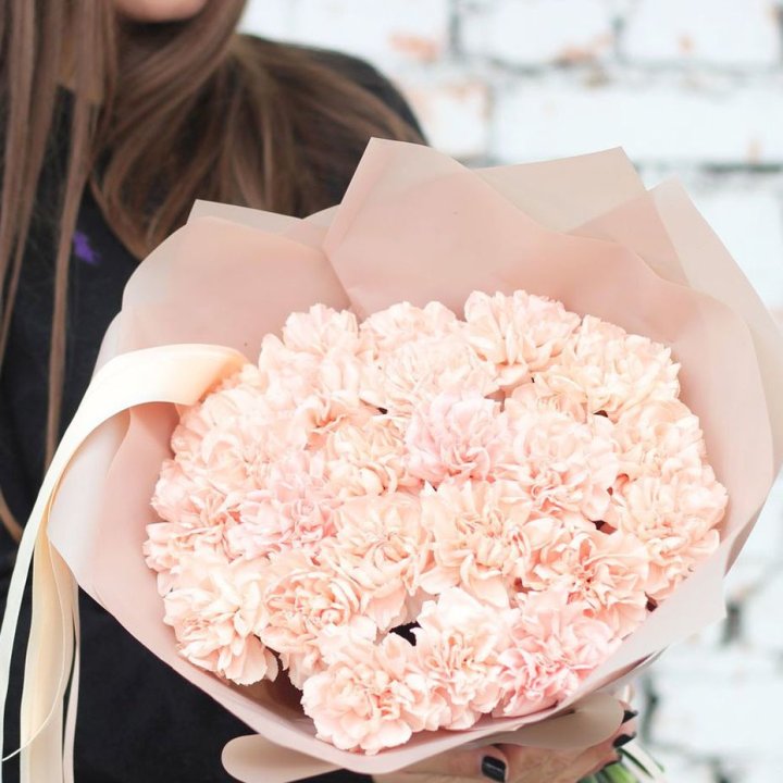 Диантусы №2 в Северодвинске