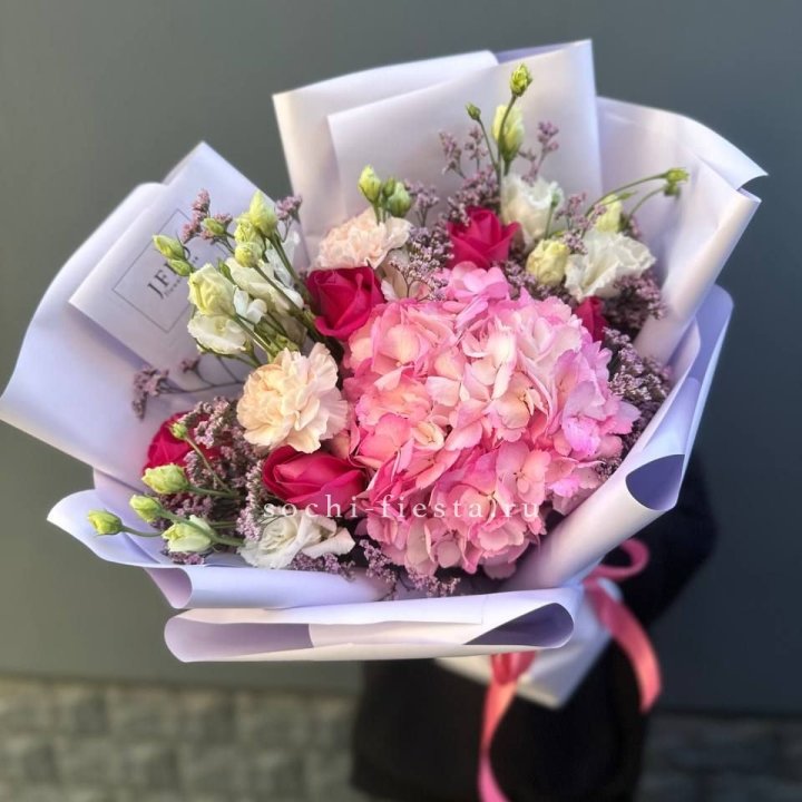 Гортензия "Перпил" в Северодвинске