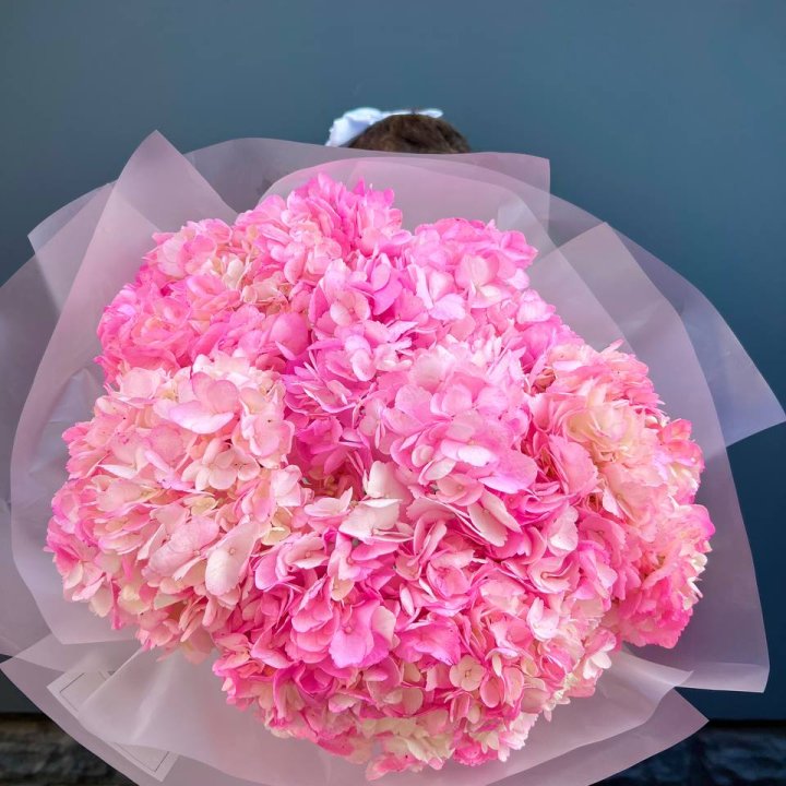 9 ярко розовых гортензий в Северодвинске