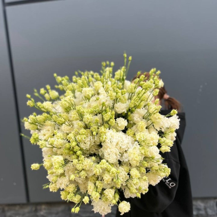 51 белая эустома в Северодвинске