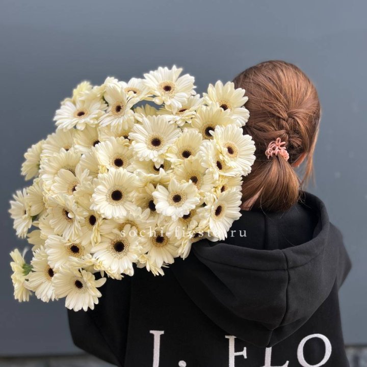 51 гербера в Северодвинске