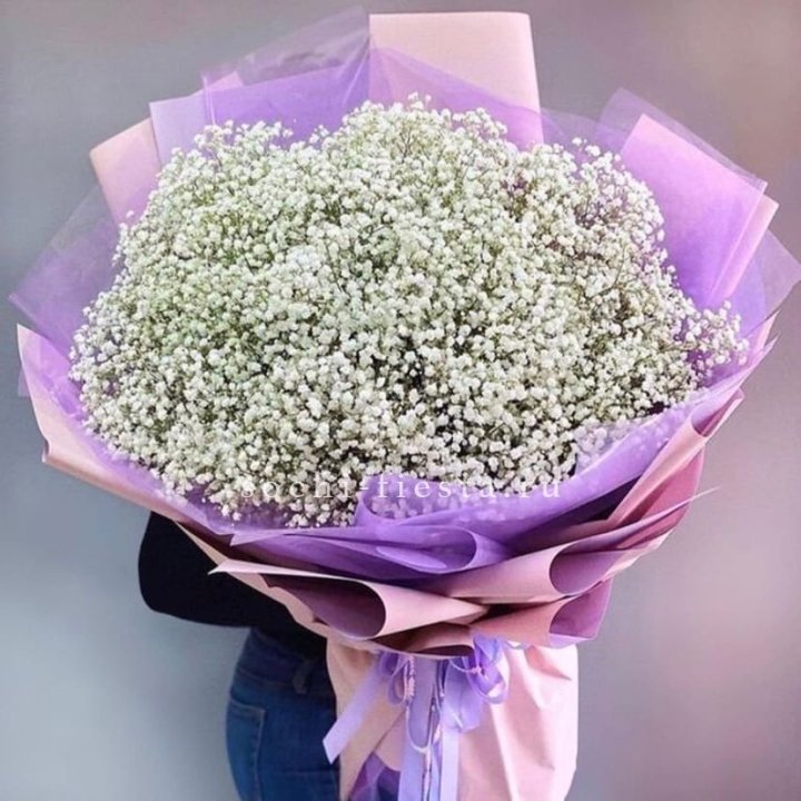 Облако белых гипсофил в Северодвинске