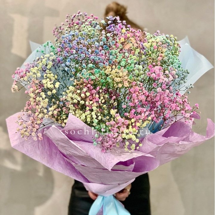 Радужные гипсофилы №2 в Северодвинске