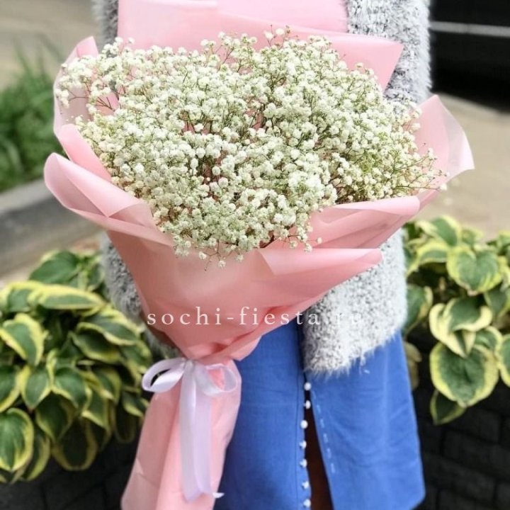 Белоснежные гипсофилы в Северодвинске