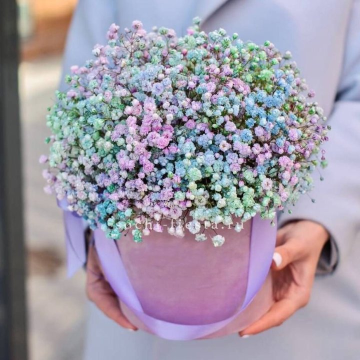 Гипсофилы в шляпной коробке "Кандилайт" в Северодвинске