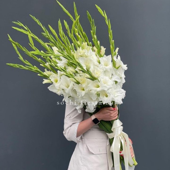 19 белых гладиолусов под ленту в Северодвинске