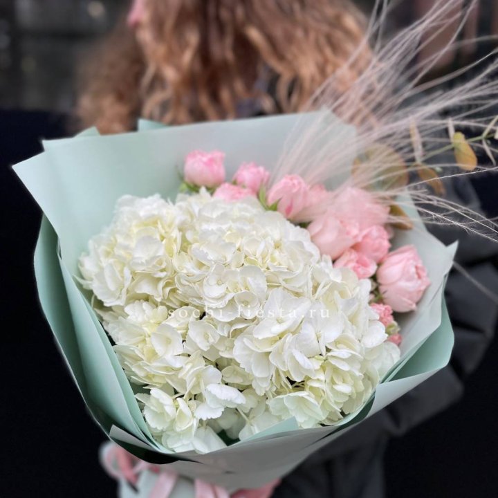 Гортензия "Жасмин" в Северодвинске