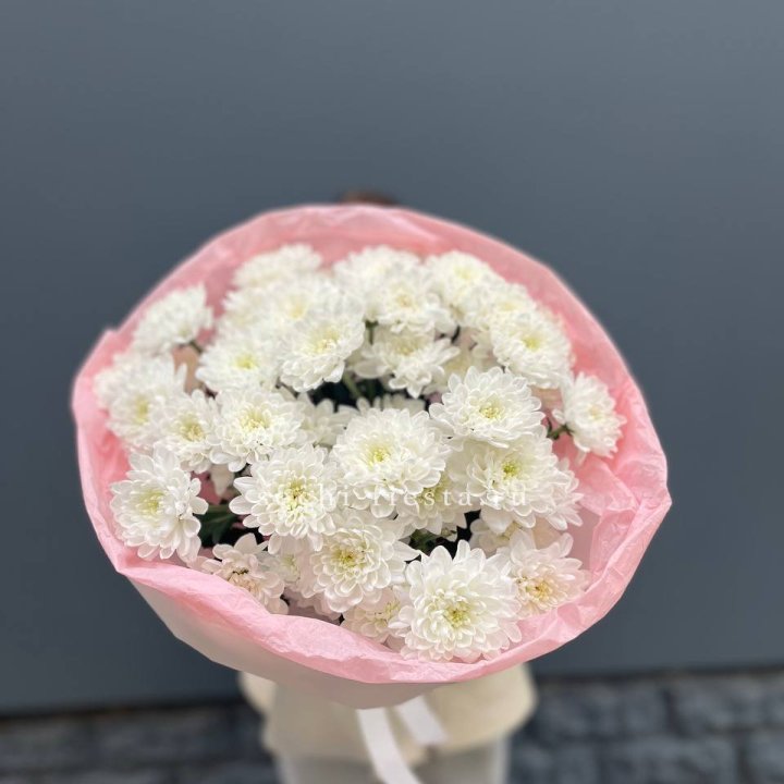  5 хризантем  в Северодвинске