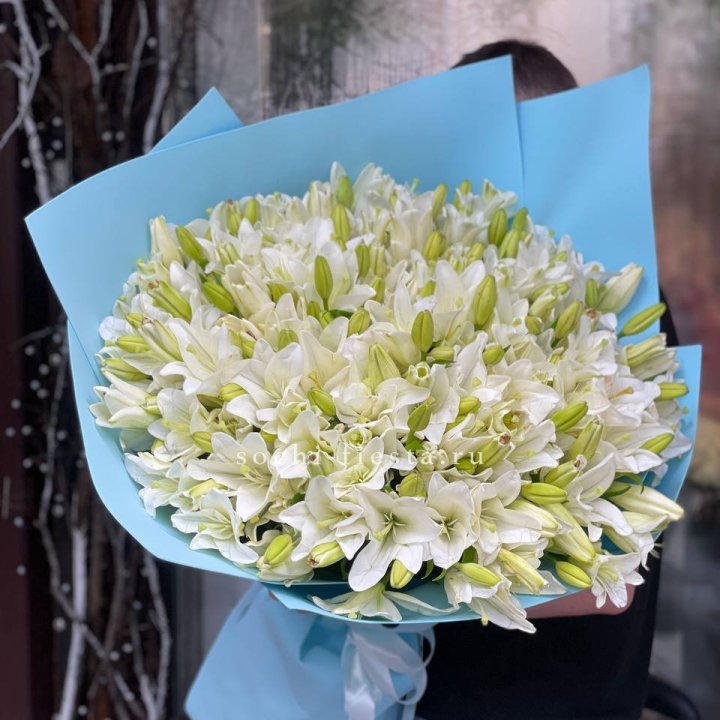 51 лилия в оформлении в Северодвинске