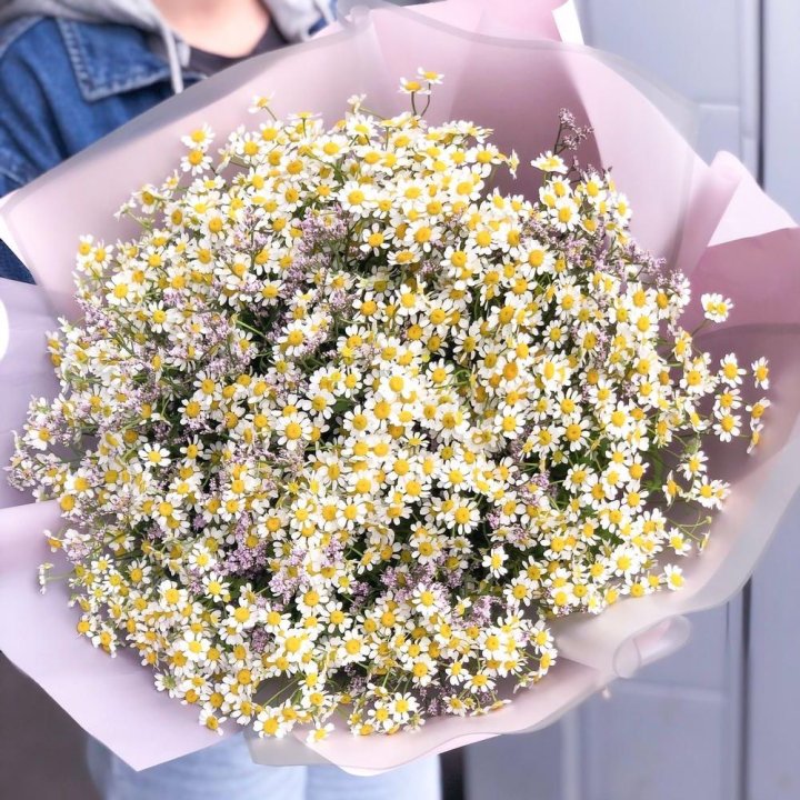 Букет ромашек №1 в Северодвинске