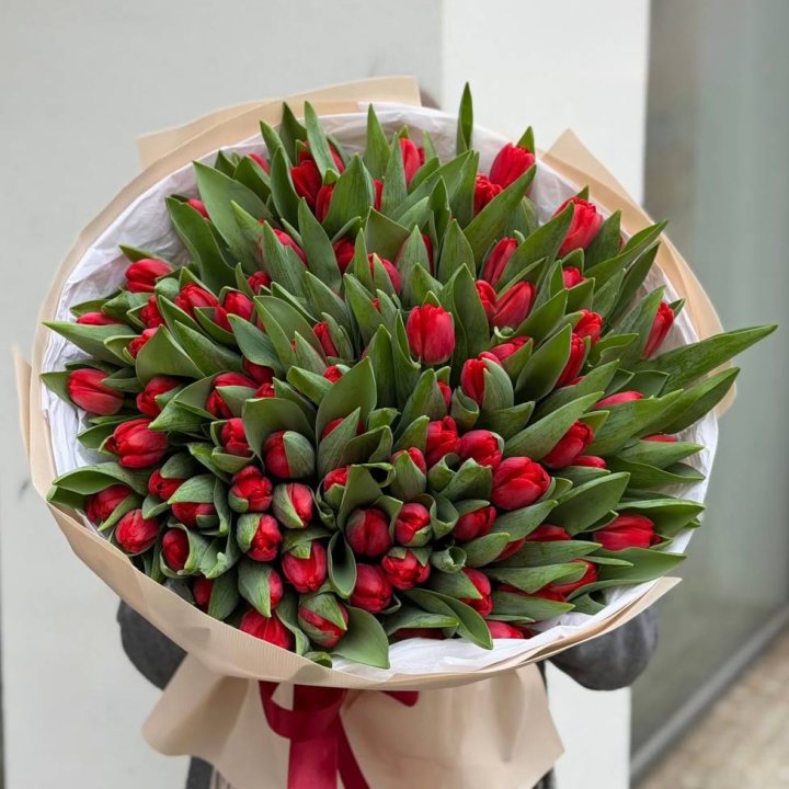 101 красный тюльпан в Северодвинске