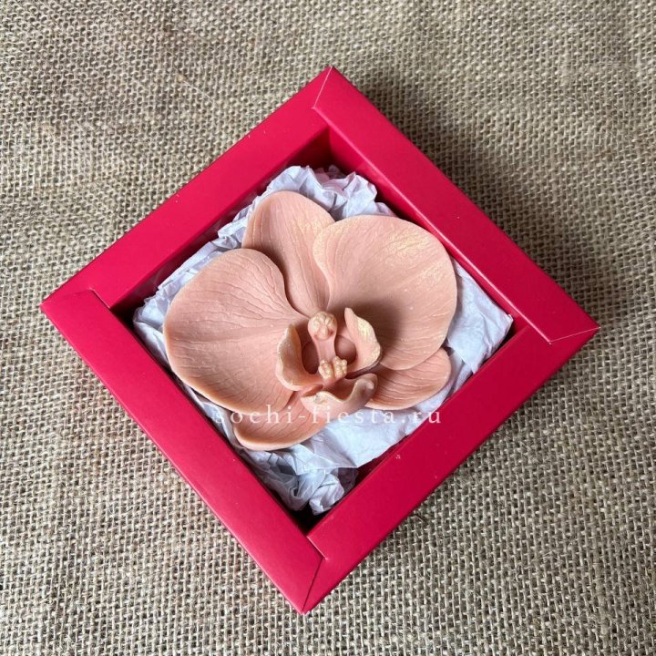 Бельгийский шоколад Орхидея в Северодвинске