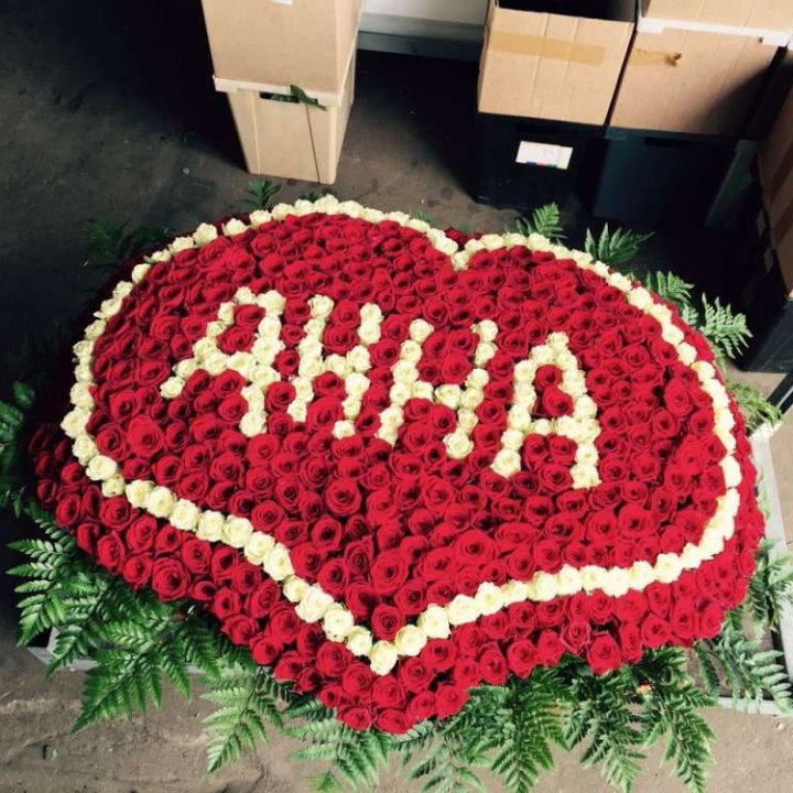 555 роз с именем в Северодвинске