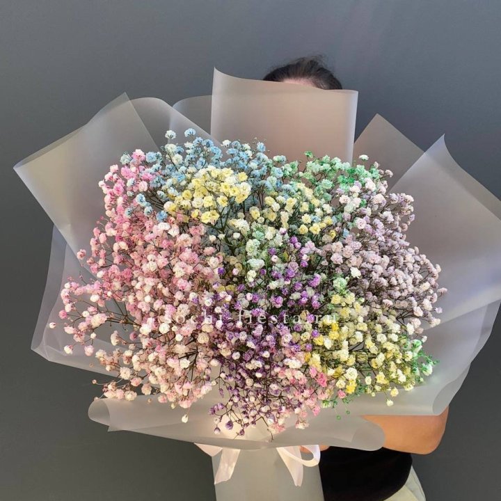 Радужные гипсофилы  в Северодвинске