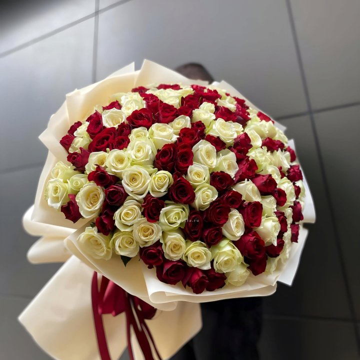 101 высокая импортная роза  в Северодвинске