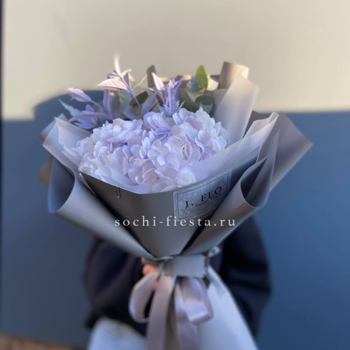 Гортензия "Виолета" в Северодвинске