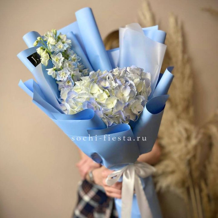 Гортензия "Блю скай" в Северодвинске