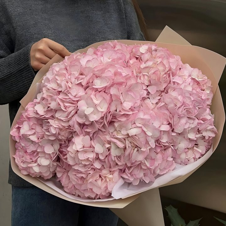 Гортензия  "РОЗЕ" в Северодвинске