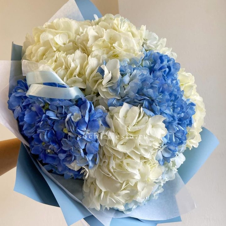 Букет гортензий "Голубая лаза" в Северодвинске