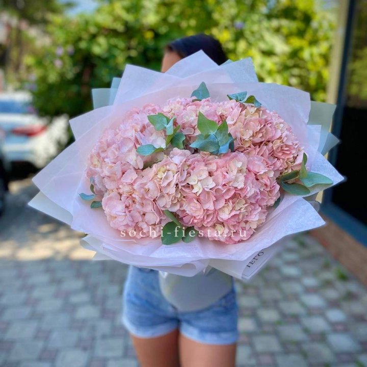 5 розовых гортензий  в Северодвинске