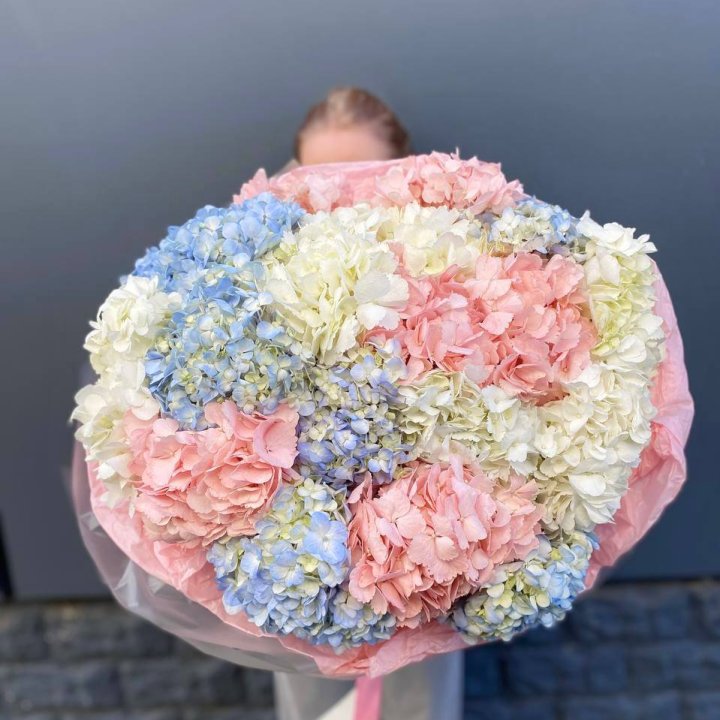 19 гортензий микс в Северодвинске