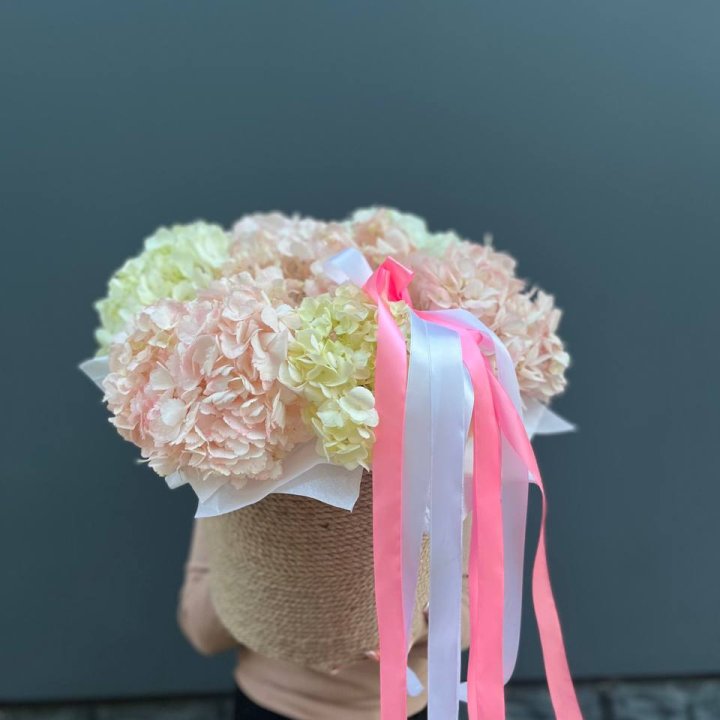 7 гортензий в кашпо в Северодвинске