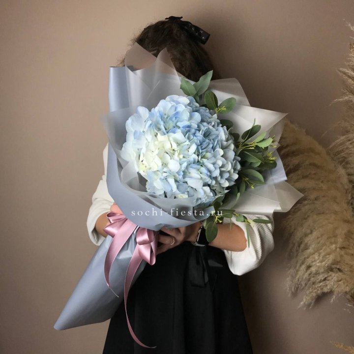 Гортензия Уно в Северодвинске