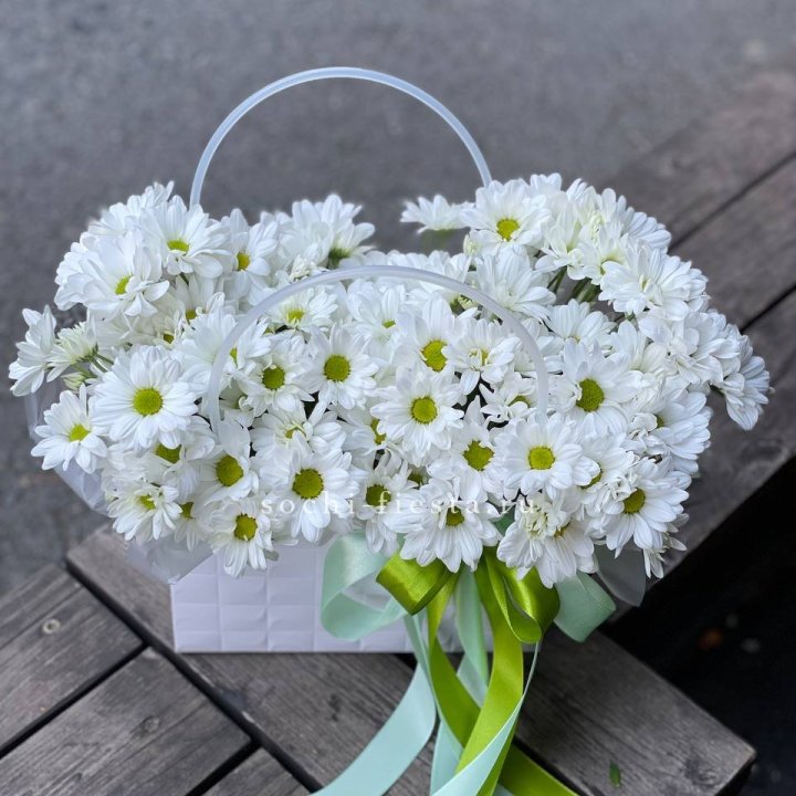 Сумка с хризантемами ромашками в Северодвинске