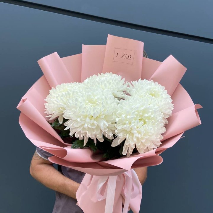 Профитроли №2 в Северодвинске