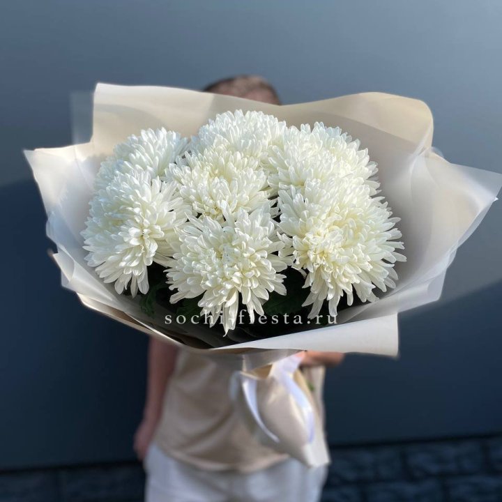 Профитроли в Северодвинске