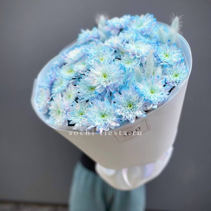  Букет нежно-голубых хризантем  в Северодвинске