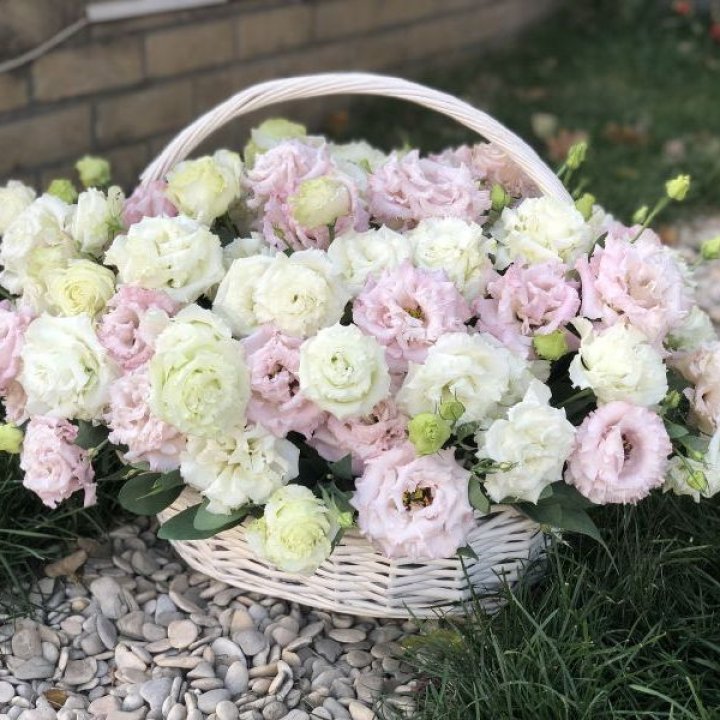 Корзина с эустомой в Северодвинске