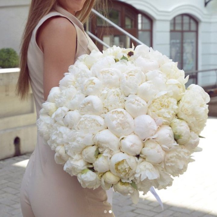 51 белый пион в Северодвинске