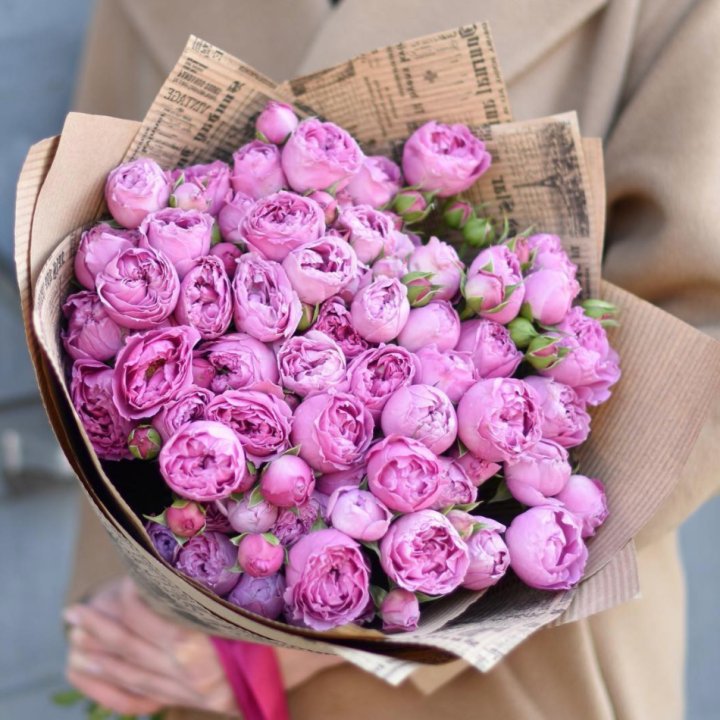 Роза Мисти Баблс в Северодвинске