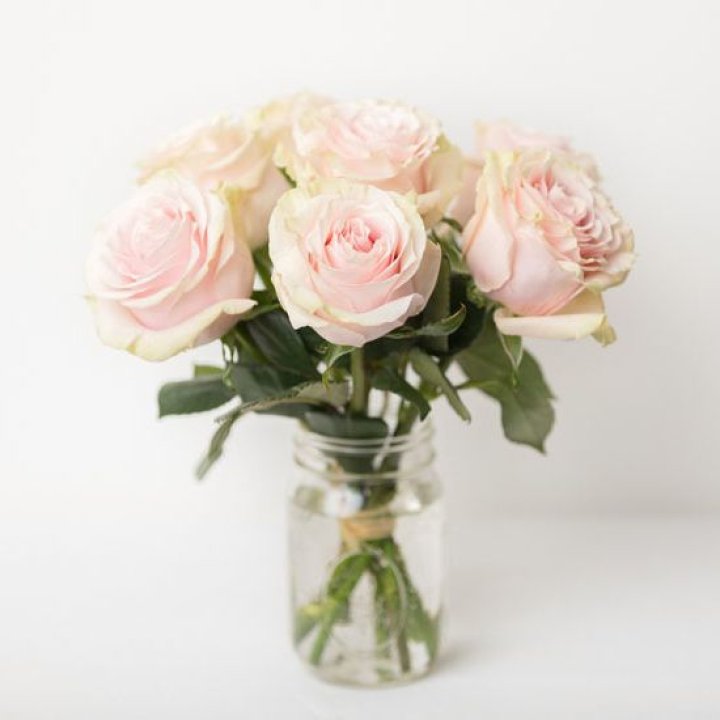 7 кремовых роз в Северодвинске