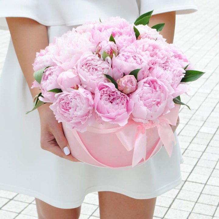 Пионы в шляпной коробке в Северодвинске