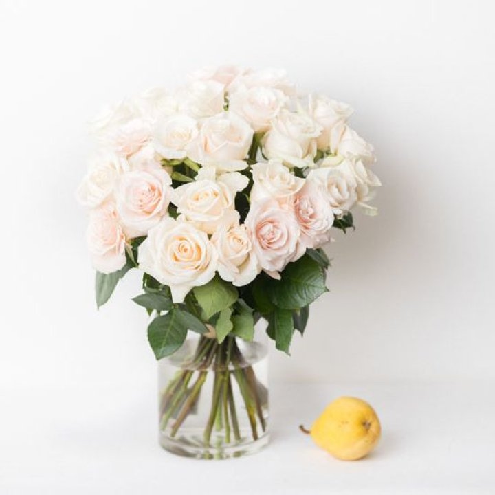 25 кремовых роз в Северодвинске