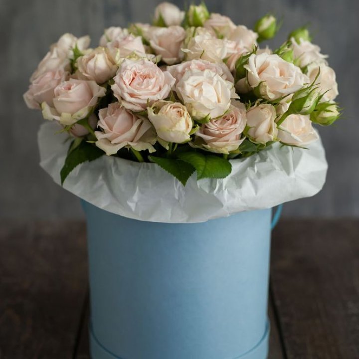 Бокс с бомбастиком в Северодвинске