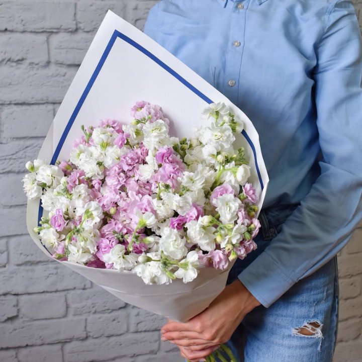 Маттиола в Северодвинске