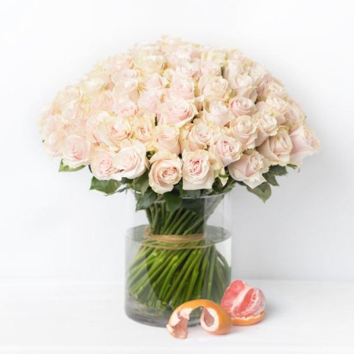 101 кремовая роза в Северодвинске