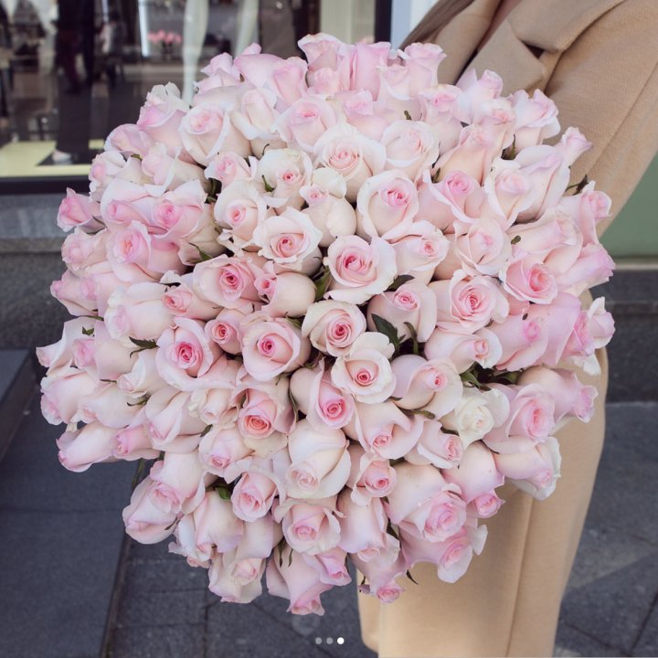 Розы "Пинк бум" в Северодвинске