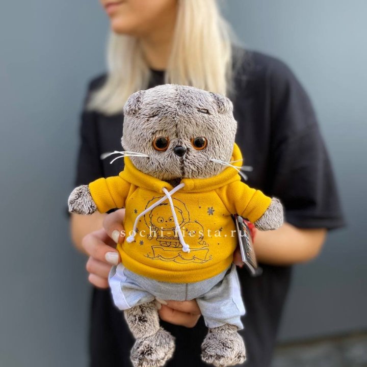 Кот Басик в худи в Северодвинске