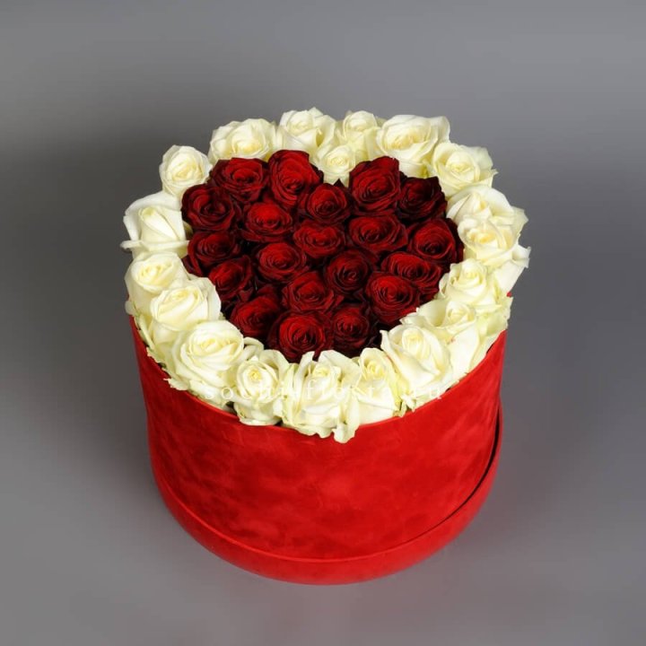 39 красных и белых роз в цилиндре в Северодвинске